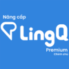 Nâng cấp tài khoản LingQ Premium chính chủ